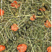 Ароматно планинско сено с моркови за зайци и гризачи, 500 гр. - JR FARM Carrot Meadow Ароматно планинско сено с моркови за зайци и гризачи, 500 гр. - JR FARM Carrot Meadow